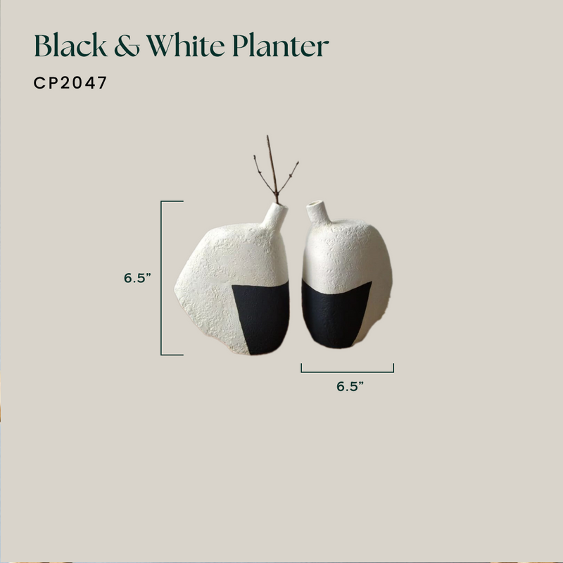 Black & White Planter