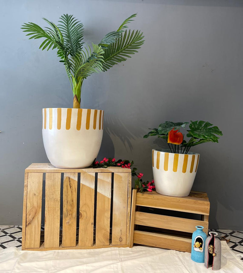 Golden Stripe Planter