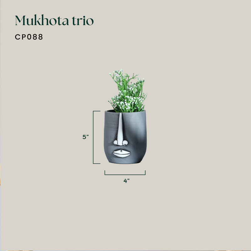 Mukhota Trio