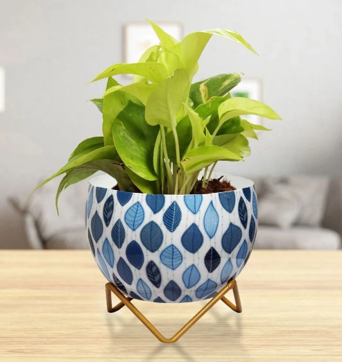 Table Top Planters