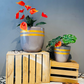 Gilded Grey Planter