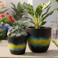 Perennial Planter