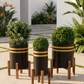 Strips Planter