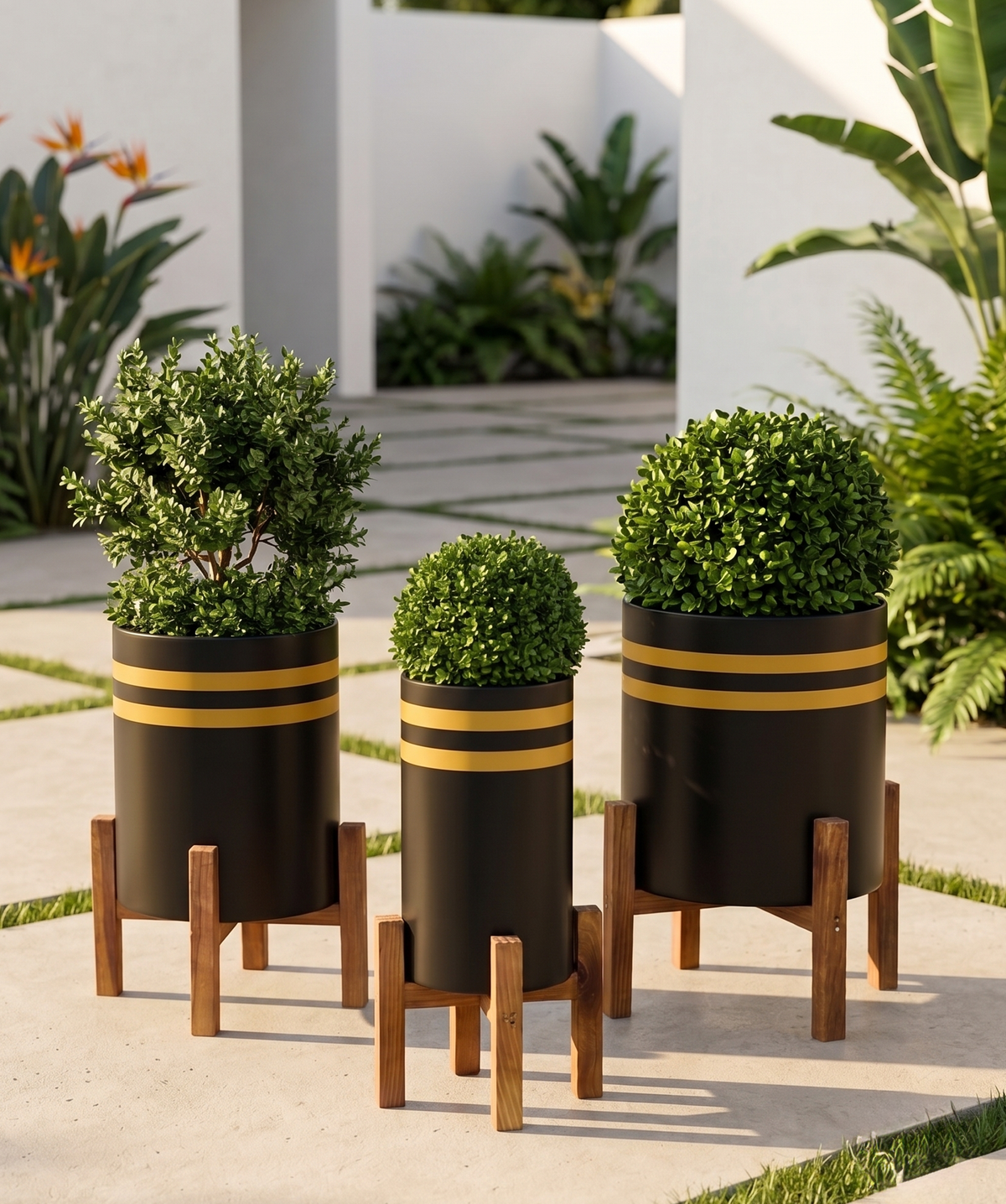 Strips Planter