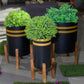 Ribbed pot with wood stand