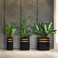 Ribbed pot with wood stand
