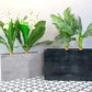 Rectangular Planter