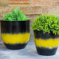 Perennial Planter