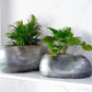 Pable Fiberglass Planter