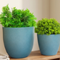 Orb Oasis Planter