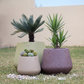 Terra Curve Planter