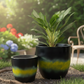 Perennial Planter