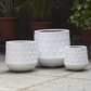 Geo Luxe Planter
