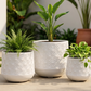 Geo Luxe Planter