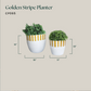 Golden Stripe Planter