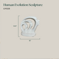 Human Evolution Sculpture