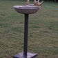DANA PANI CHABUTARA