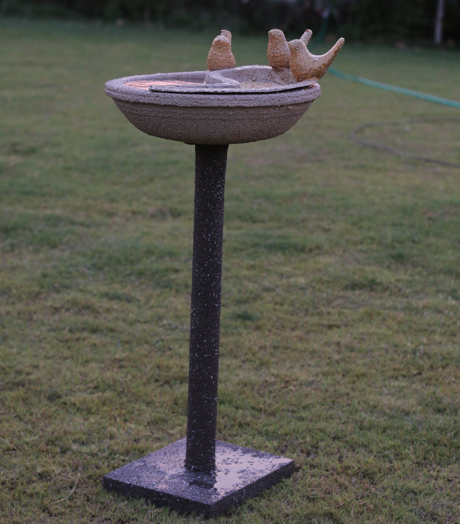 DANA PANI CHABUTARA