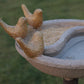 DANA PANI CHABUTARA