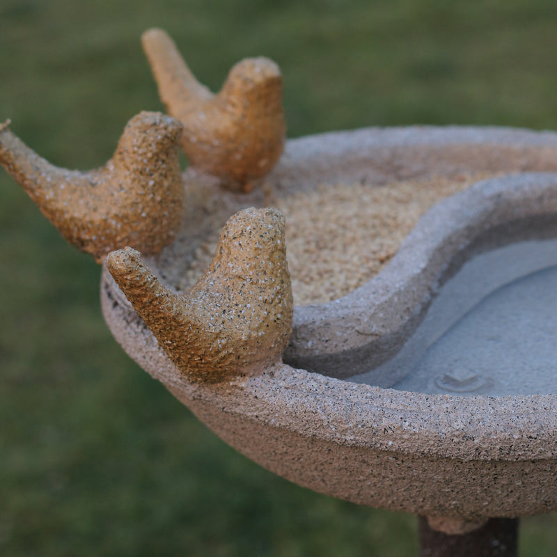 DANA PANI CHABUTARA