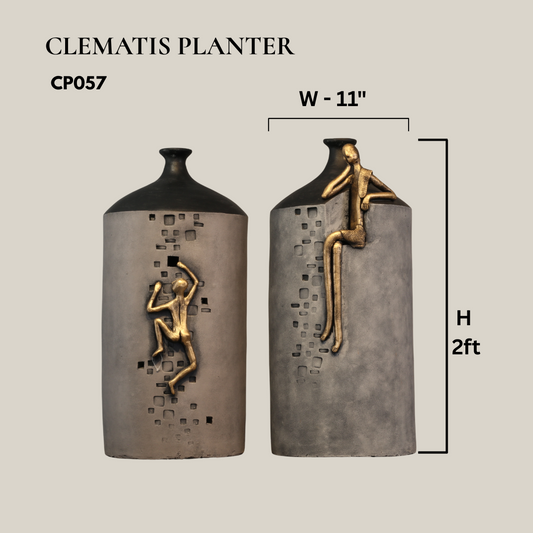 Clematis Planter