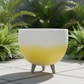 Ombre Planter