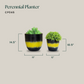 Perennial Planter