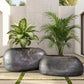 Pable Fiberglass Planter