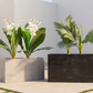 Rectangular Planter