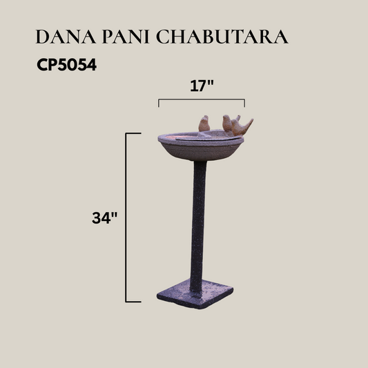 DANA PANI CHABUTARA