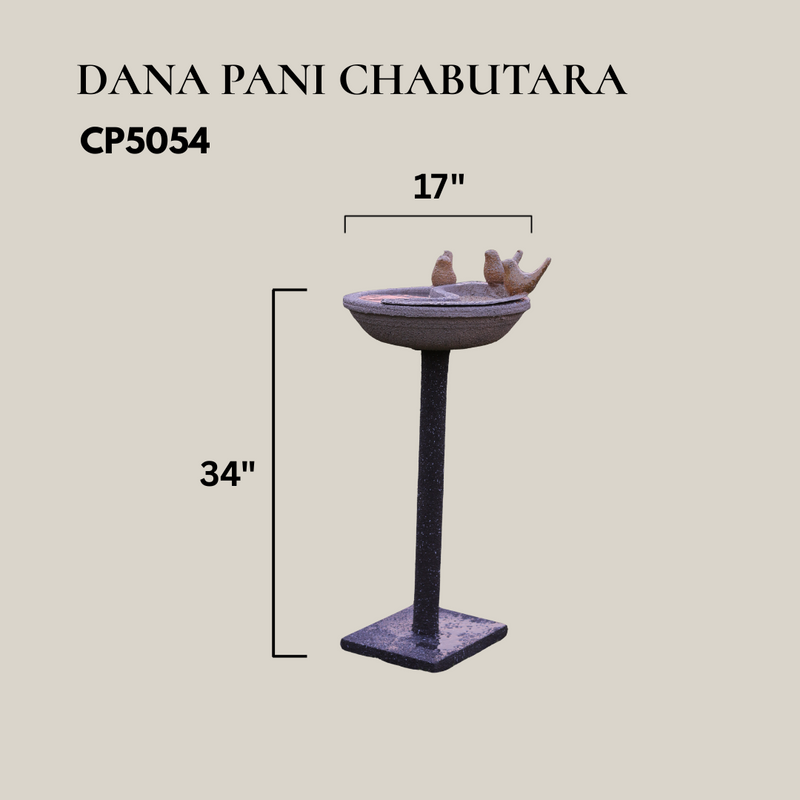 DANA PANI CHABUTARA