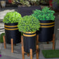 Strips Planter