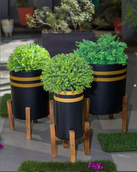 Strips Planter